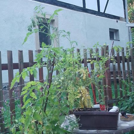 Zum Stillen Himmelbett In Lichtenwalde Niederwiesa Eksteriør bilde